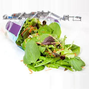 자동 과일 및 채소 가공 및 포장 라인 냉동 야채 생산 라인