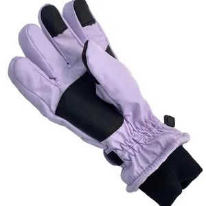冬のスポーツスキーと手袋のラベルのためのオンライン卸売高品質昇華ステッカープリント転送