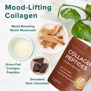 Polvo de péptidos de colágeno bovino hidrolizado con sabor a <span class=keywords><strong>chocolate</strong></span> para la salud de la piel del <span class=keywords><strong>cabello</strong></span> de etiqueta privada - Product Image 2