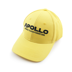 High Quality Oem Custom 5/6 Panel Embroidery Logo Women Baseball Cap Low Profile Cotton Hat Men Baseball Cap