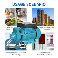Pompa Air Mini Surface Booster Seri SN QB untuk Irigasi, Pompa Booster Air untuk Rumah Tangga, OEM Dapat Disesuaikan