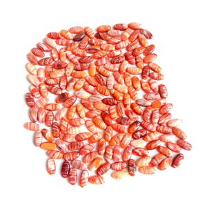 Natural Orange Spiny Oyster Cabochon Spiny Oyster Copper turchese cuscino Cabochon <span class=keywords><strong>pietra</strong></span> <span class=keywords><strong>preziosa</strong></span> - Product Image 6