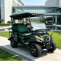Voiturette de golf électrique tout-terrain 4 places avec options de peinture personnalisées et grand panier de rangement supplémentaire pour le marché américain