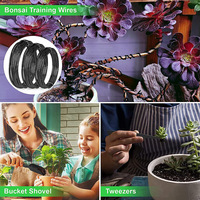 Kit di Attrezzi da Giardinaggio in Acciaio al Carbonio da 24 Pezzi per Principianti - Strumenti per Modellare e Cura degli Alberi Bonsai Personalizzabili OEM
