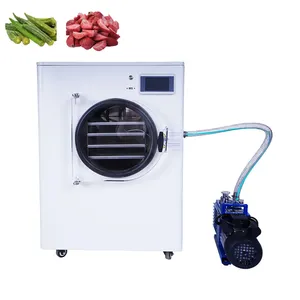 Nut Freeze Dryer Sublimation Condensation Dryer Mini Air Food Chemical Machinery Freeze Dryer