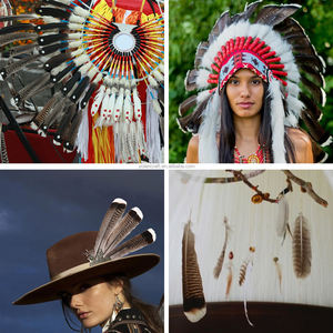 ขนหางไก่<span class=keywords><strong>งวง</strong></span>ป่ายี่ห้อ YOLAN Royal Palm ขนาด 10-12 นิ้ว แบบดิบ รับรองโดยสัตวแพทย์ สำหรับงานปาร์ตี้ งานแต่งงาน งานรื่นเริง และงานฝีมือ - Product Image 6