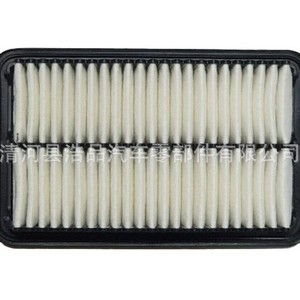 28113-1Y100 28113-04000 pour filtre à air, élément filtrant, Clear River None - Product Image 4