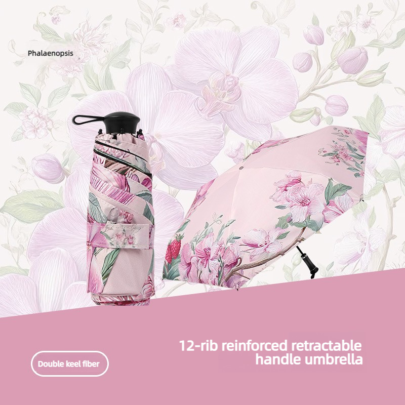 Phalaenopsis