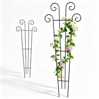 Treillis de jardin élégant en métal conique à sommet incurvé, résistant à la rouille et aux intempéries, robuste, pour patio, balcon, hôtel, vente en gros, OEM