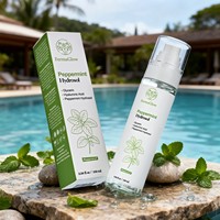 Hydrolat de menthe poivrée fermentée, niacinamide, acide hyaluronique, tonique visage rafraîchissant, régulateur de sébum, affinant les pores, hydratant, brume pour le visage