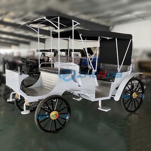 Chariot de tourisme personnalisé Zhenda, chariot à chevaux convertible noir à quatre roues en acier, pour 6 personnes, chariot européen, transport spécial - Product Image 2