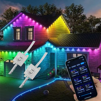 Fabrikpreis Smarte RGBIC Pixelpunktleuchte Wasserdichte Outdoor-Quallen-Dauer-Weihnachts- und Feiertags-Dekorationsbeleuchtung