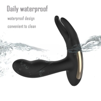 Fernbedienungsfähiger Prostata-Massager mit Heizfunktion, Anal-Plug, Männlicher Prostata-Massager, Analdildo-Vibrator, Sexspielzeug für Männer