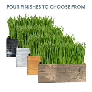 Kit d'<span class=keywords><strong>herbe</strong></span> à <span class=keywords><strong>chat</strong></span> biologique avec jardinière en bois rustique pour la maison, le jardin, l'extérieur, l'intérieur et la pépinière. - Product Image 6