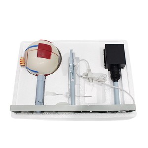 Modèle agrandi d'un simulateur d'imagerie oculaire ; Simulateur du principe de l'imagerie oculaire ; Expérience de biologie pour collégiens - Product Image 5