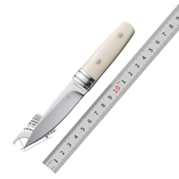 Couteau à fruits, couteau de barbecue, couteau de chasse à lame fixe en acier 3CR13 avec manche en résine OEM de haute qualité, étui en cuir de vachette pour camping en extérieur