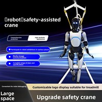 Grue de levage robotisée intelligente anti-chute et anti-déplacement, dispositif de levage humanoïde électrique silencieux multicolore