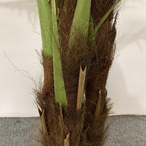 2025 simulazione verde pianta soggiorno grandi piante nordiche decorazione della casa falsa coda allentata <span class=keywords><strong>malva</strong></span> di bambù artificiale - Product Image 4