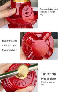 Valvola di riduzione della pressione della conduttura di potenza pneumatica 159 kg/h regolatore del <span class=keywords><strong>Gas</strong></span> industriale ad alta pressione DN15 gpl - Product Image 5