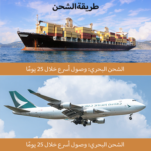 Agent d'expédition maritime et aérienne le moins cher, DHL UPS, porte à porte, Chine vers les États-Unis, Afrique du Sud, Asie, Europe, Pologne, Émirats arabes unis, transitaire - Product Image 2