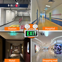 Lumière de secours LED pour sortie de secours, montage mural, double extrémité, panneau de sortie de secours, boîte de sortie de secours, IP20, utilisation en intérieur, rechargeable