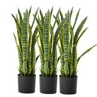 Tanaman Ular Palsu Tahan UV, Sukulen Sansevieria Tiruan dengan Daun Realistis