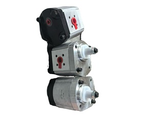 Piezas de maquinaria de construcción 0511315605 AZMF-12-005 motor bidireccional - Product Image 4