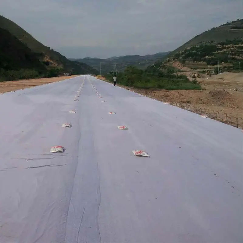 High Strength Geosynthetics Material Road construction PP Pet Non Woven Geotextile