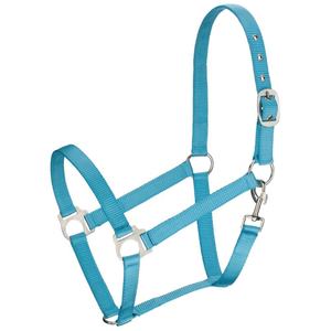 Licol de cheval économique en nylon en turquoise vibrant, style de selle anglaise de meilleure qualité avec quincaillerie en fer nickelé - Product Image 1