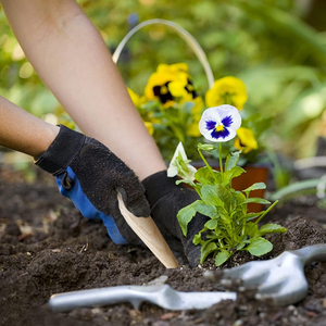 DIYプラントエッセンシャルギフトセット環境にやさしいガーデンアクセサリーキット11PCSガーデニングツールキット - Product Image 6