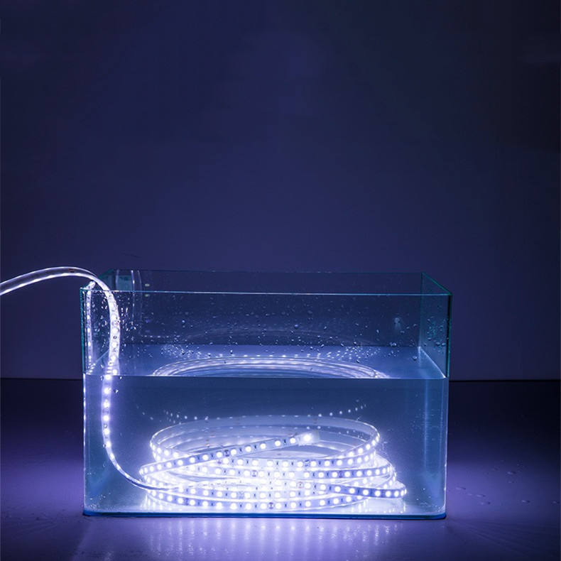 Strisce Led Da Esterno Striscia LED Da 5 M, Striscia LED RGB 5050 SMD, Striscia LED Da 60 LED Striscia Led Impermeabile Ip65 Con Telecomando A 44 Pulsanti 85384035 Striscia Led Da Esterno Impermeabile