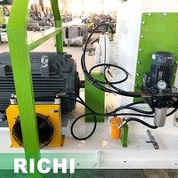 Machine automatique RICHI pour la fabrication de granulés de litière en bois – Moulin de production de granulés de paille pour litière d'animaux (chevaux, animaux de compagnie)