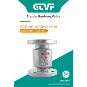 <span class=keywords><strong>Clapet</strong></span> <span class=keywords><strong>anti</strong></span>-<span class=keywords><strong>retour</strong></span> des <span class=keywords><strong>eaux</strong></span> <span class=keywords><strong>usées</strong></span> verticales en acier au carbone de la Chine - Product Image 5