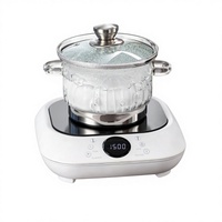Cuisinière à induction mini à un brûleur, 1300W, électrique, en plastique, avec commande tactile numérique, multifonction, pour usage domestique, prix de gros