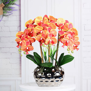 <span class=keywords><strong>Orchidea</strong></span> Artificiale DREA <span class=keywords><strong>in</strong></span> <span class=keywords><strong>Vaso</strong></span>, <span class=keywords><strong>Orchidea</strong></span> Bianca <span class=keywords><strong>in</strong></span> Lattice con Effetto Realistico, Pianta <span class=keywords><strong>in</strong></span> <span class=keywords><strong>Vaso</strong></span> per Decorazione Casa - Product Image 4