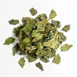 Yüksek Kaliteli Toplu Doğal Kurutulmuş Dut Yaprağı Fırınlanmış Gevşek Uzun Şekilli Katkısız 1kg Anhui Fuli Hall 12 Ay Raf Ömrü - Product Image 3