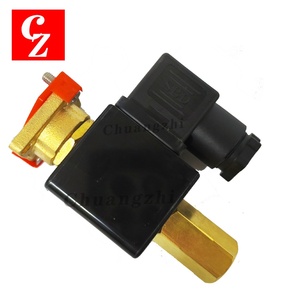 Vanne Solénoïde OEM de Haute Qualité 24V AC 17 bars pour Pièces de Compresseur d'Air Atlas Copco 1089050507 Garantie 1 An - Product Image 1