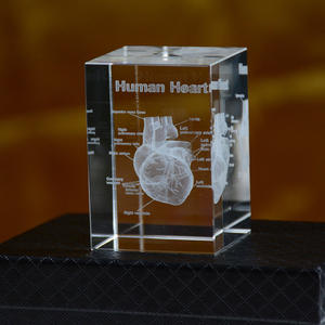 Modèle de cœur en cristal d'anatomie humaine sculpté en 3D élégant Ornement médical élégant pour l'artisanat de la structure Autre produit d'artisanat en cristal - Product Image 4