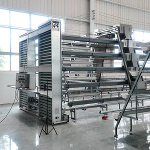 Sistema di Gabbie Automatiche per Galline Ovaiole per 10.000 Polli, Tipo A, per Allevamenti Avicoli in Tanzania - Product Image 1