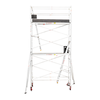 Échafaudage de tour en aluminium d'échafaudage a placé la plate-forme en aluminium mobile d'échafaudage de taille de 6m