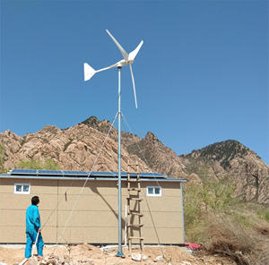 Professionally Customized 48V 96V 120V 220V 240V 2000W Wind <b>Generators</b> With High Power Generation Efficiency NE-2000L 2KW Wind T - Product Image 2