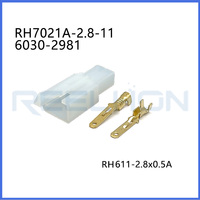 Carcasa de Conector Automotriz 6030-2981 para Arnés de Cableado Tipo Sumitomo Hembra, Fabricante y Proveedor