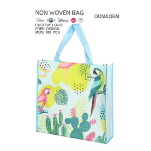 Bolsa de Compras Reutilizable Ecológica Personalizada de PP No Tejido con Diseño de Plantas para Promoción - Product Image 1