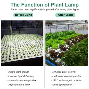 Horticulture Samnsung SMD 2835 6400K Indoor Grow Light Planting 3FT 36W Lamp For Indoor Plant