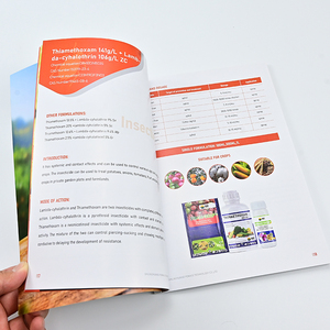 הדפסת קטלוגים דיגיטליים בצבע מלא, פליירים פרסומיים בהתאמה אישית וחוברות - Product Image 6