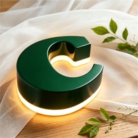 Lettres lumineuses LED personnalisées avec alimentation AC/DC pour la publicité, utilisation directionnelle, hôtels, bars, entreprises - Multicolores, étanches IP65