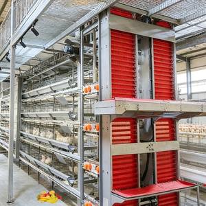 Proven Performance Stable Folding <strong>Chicken</strong> Cages Prefab <strong>Chicken</strong> <strong>Coops</strong> <strong>for</strong> <strong>Sale</strong> <strong>Chicken</strong> <strong>Coop</strong> Cleaning <strong>for</strong> High Density Layer Farm - Product Image 1