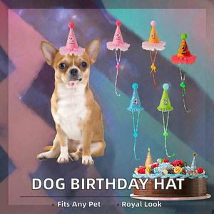 Hunde- & Katzen-Geburtstagsmütze aus PU-<span class=keywords><strong>Nylon</strong></span> mit Zahlen – Cartoon-Prinzessinnen-Stil Kleintier-Bekleidungszubehör - Product Image 2