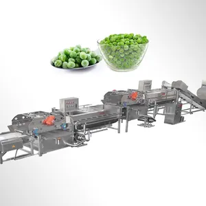 TCA certifié CE ligne de traitement automatique des légumes de haute qualité, ligne de production automatique de pois verts surgelés