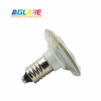 60 Volt E10 LED Carrousel Éclairage Amusement Blanc Pixel Point Lumière Haute Tension Pixel LED Lampes